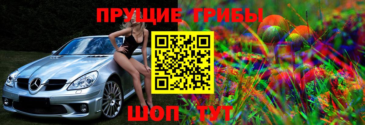 Кимры  Псилоцибиновые грибы прущие грибы  Вход с VPN  Псилоцибиновые грибы Psilocybine cubensis 