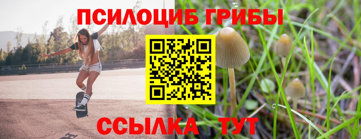 Псилоцибиновые грибы мухоморы Кимры